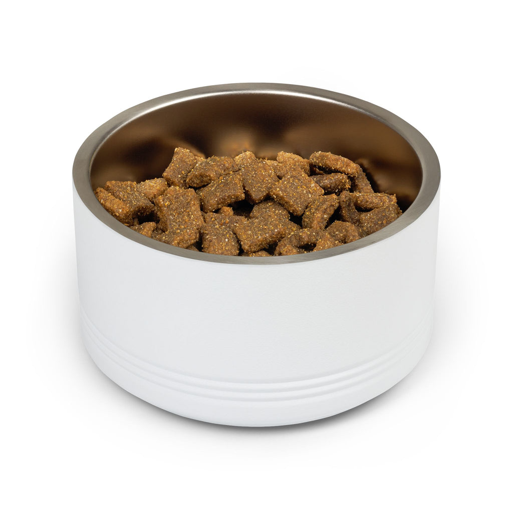 Personalized Pet Bowl — Custom Name “DOUG” Pet Food Dish (Est. 2026)