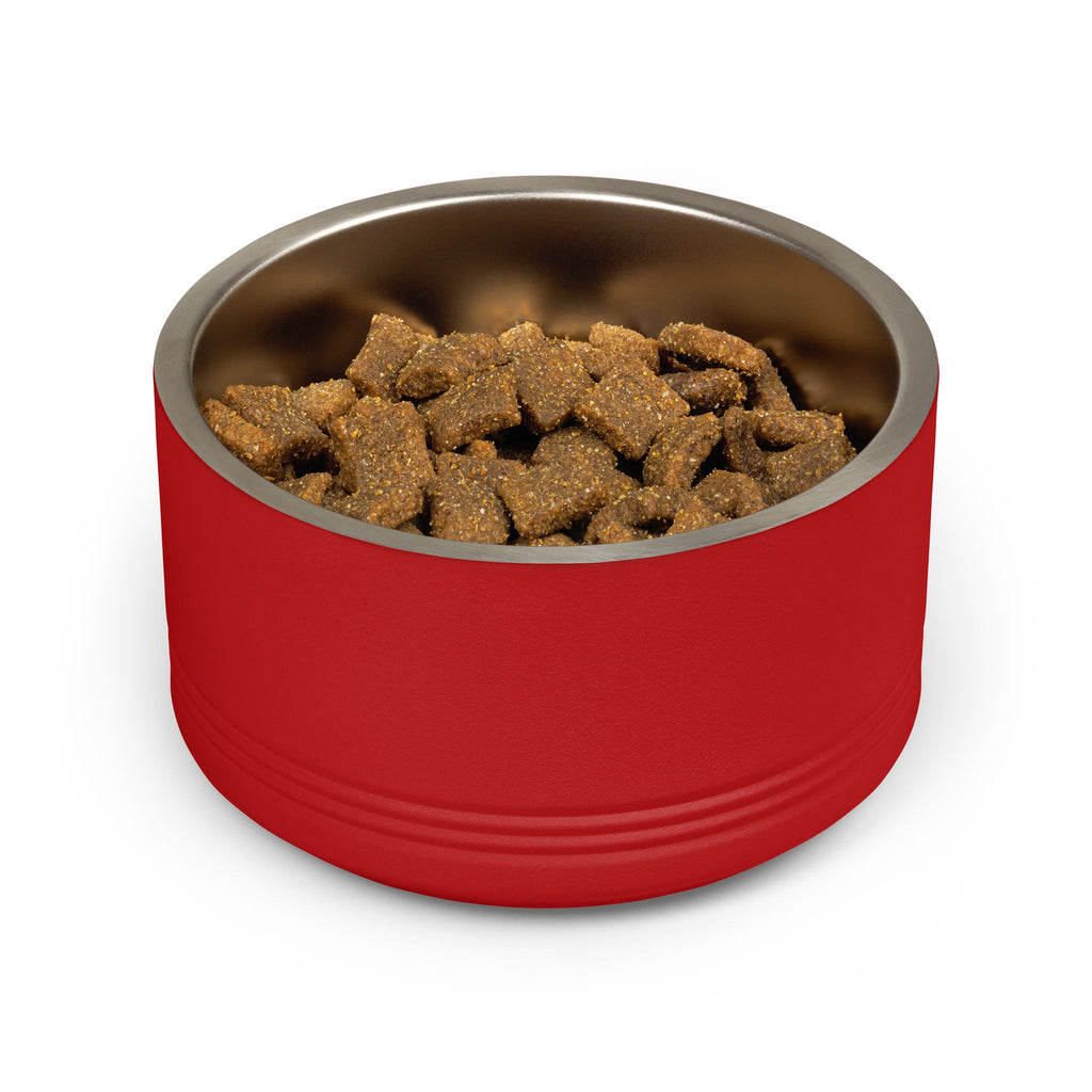 Personalized Pet Bowl — Custom Name “DOUG” Pet Food Dish (Est. 2026)